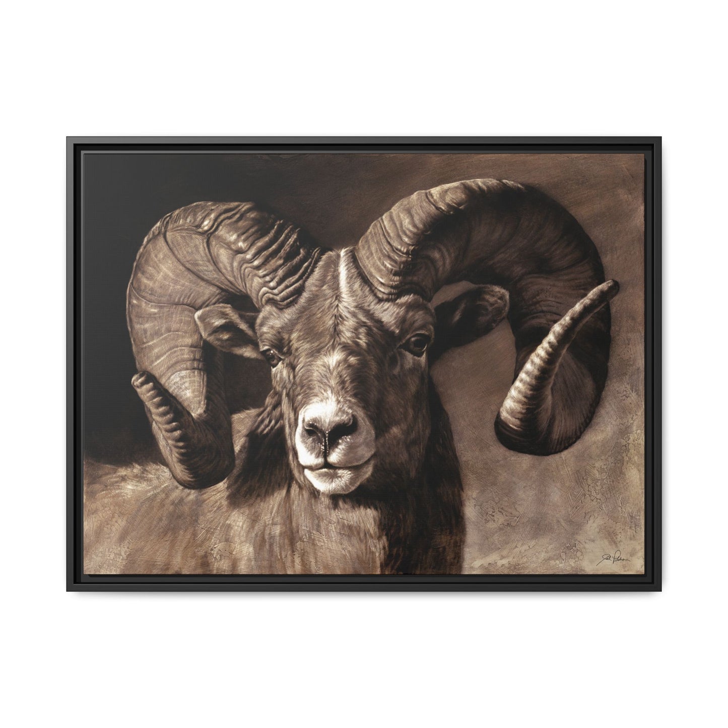 "Full Curl" Framed Canvas