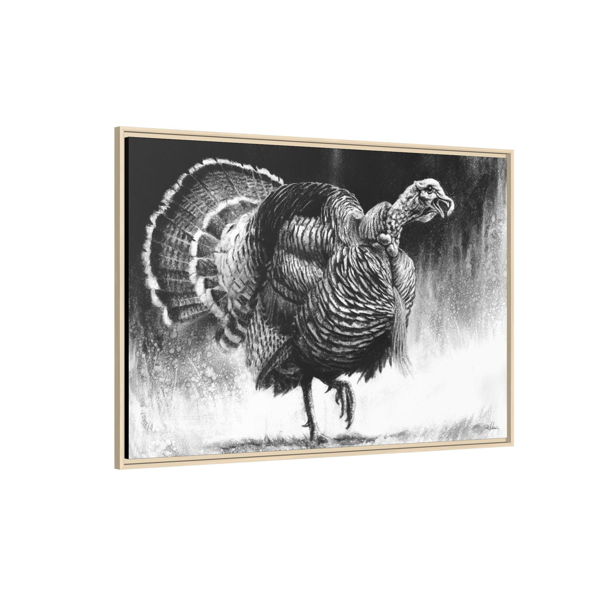 "Gobbler" Framed Canvas