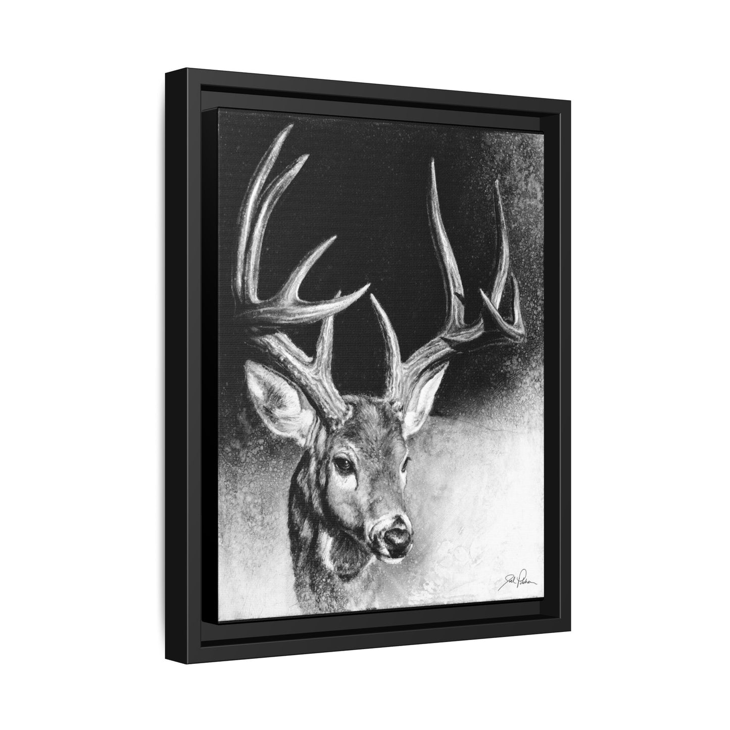 "Whitetail Buck" Framed Canvas