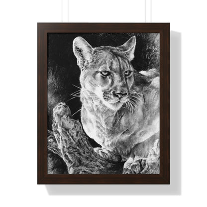 "Mountain Lion" Framed Paper Print