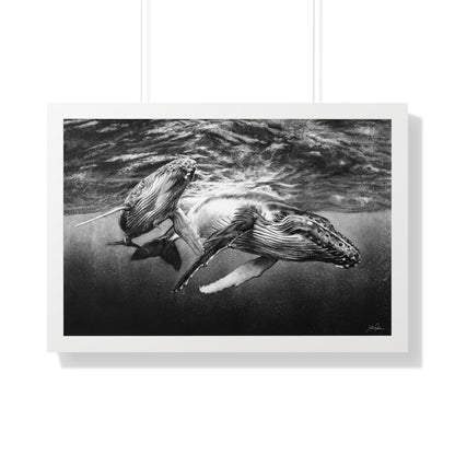 "Humpback Whales" Framed Paper Print