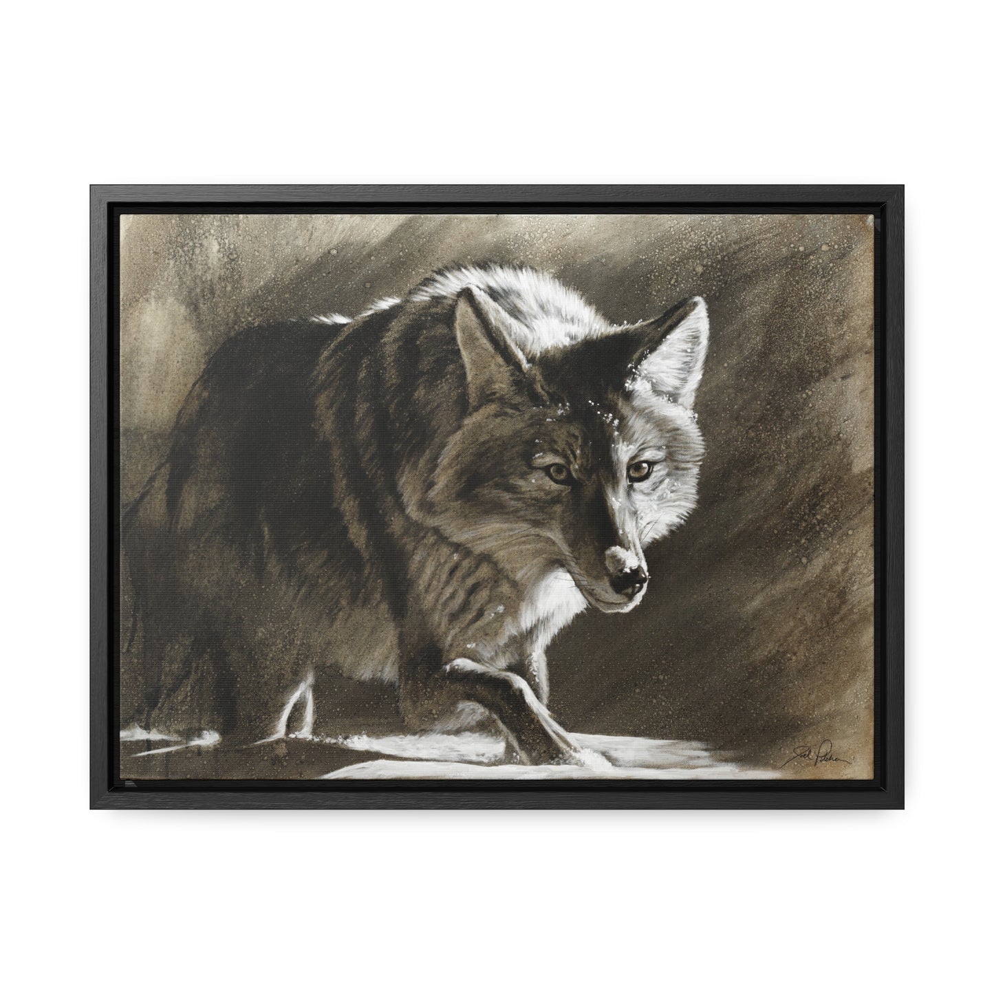 "Coyote" Gallery Wrapped/Framed Canvas