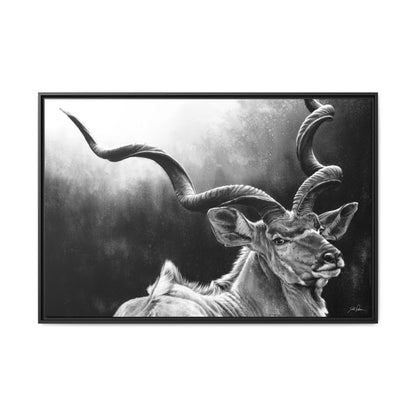 "Kudu" Framed Canvas