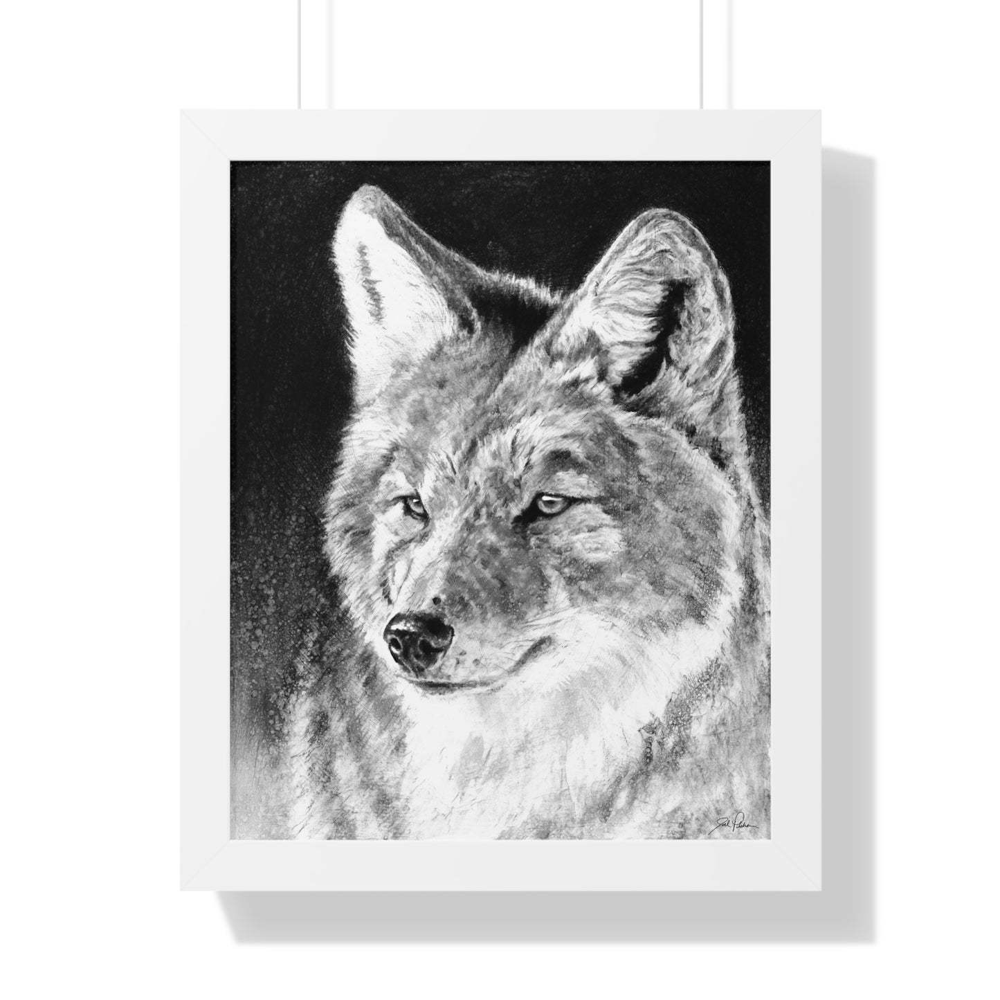 "Coyote II" Framed Paper Print.