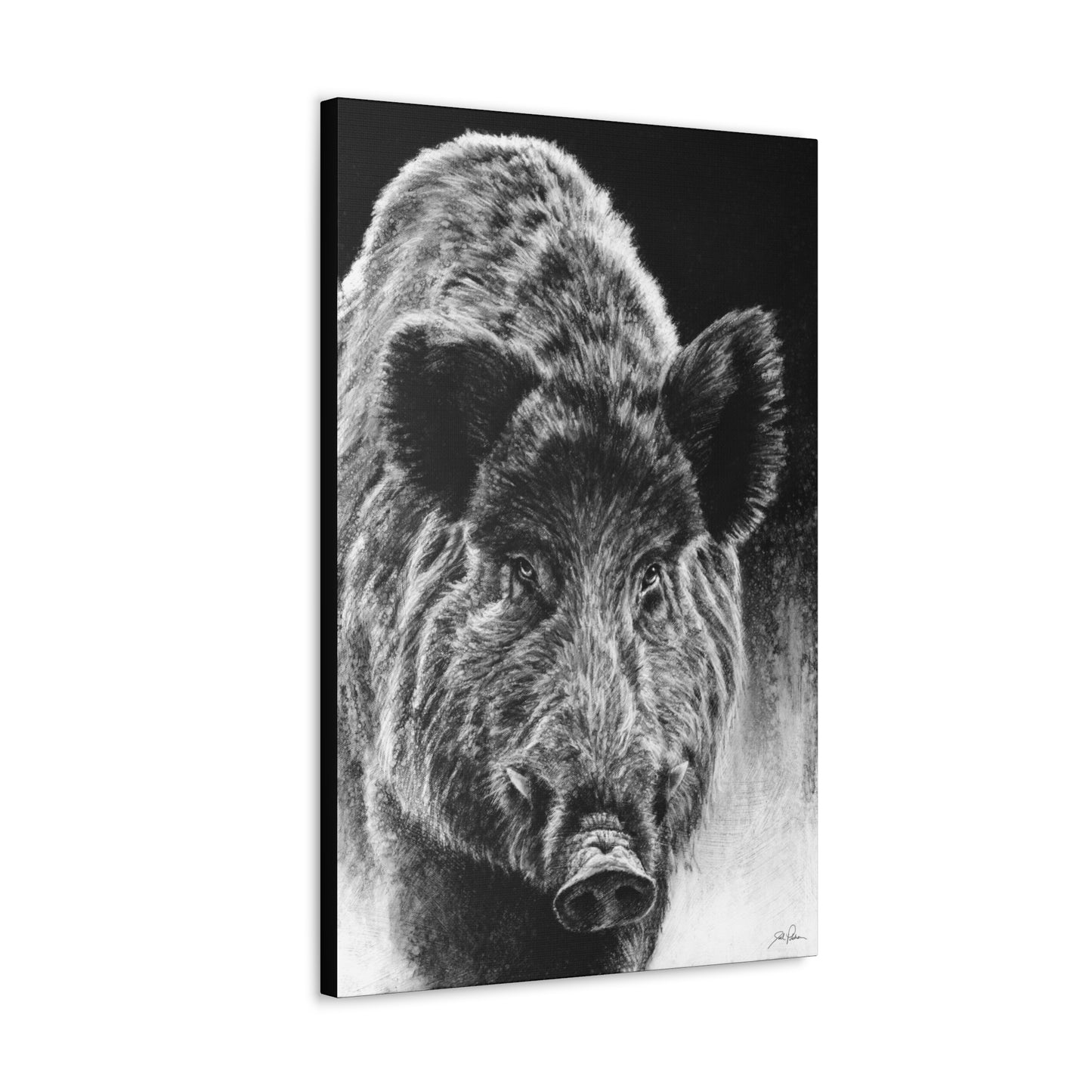 "Wild Boar" Gallery Wrapped Canvas