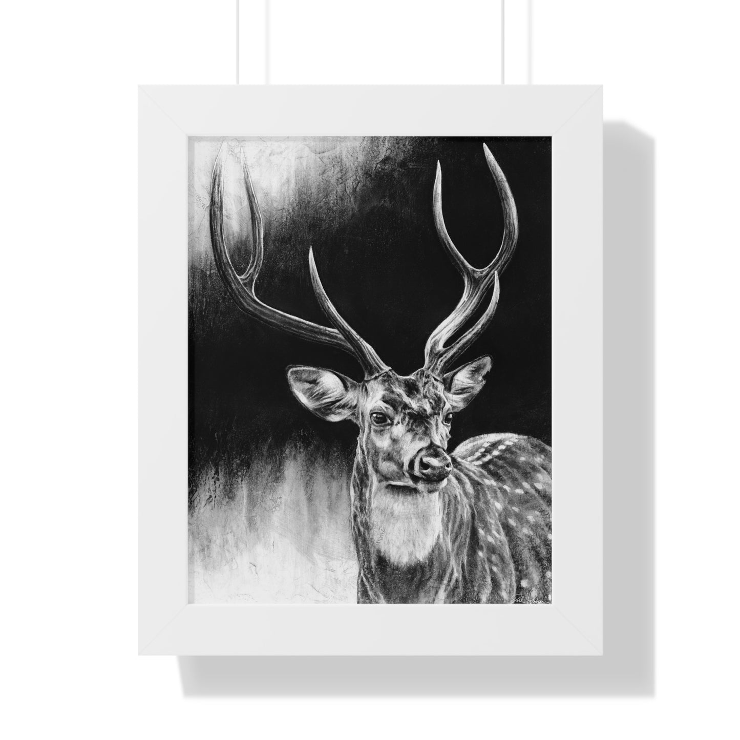 "Axis Buck" Framed Paper Print