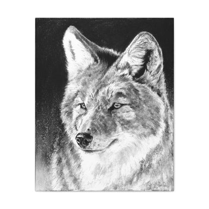 "Coyote II" Stretched Canvas