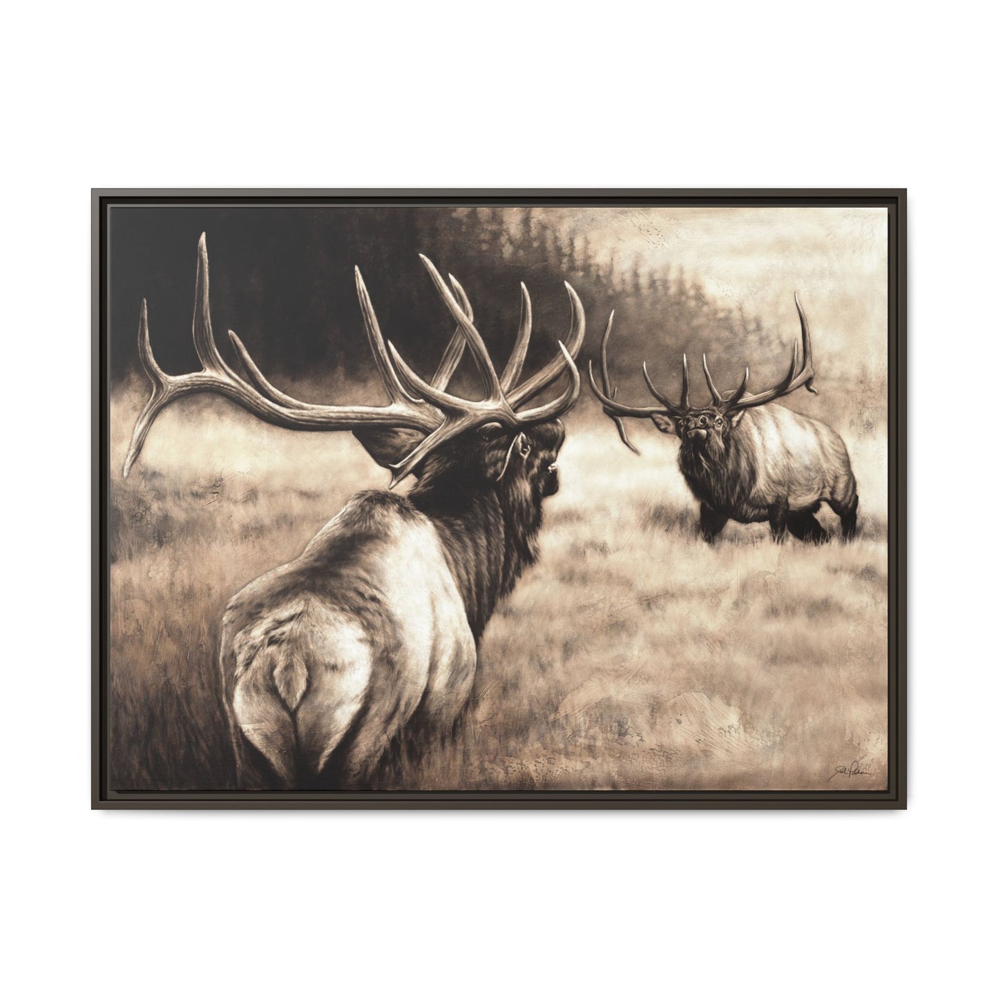 "Ready to Rumble" Framed Canvas