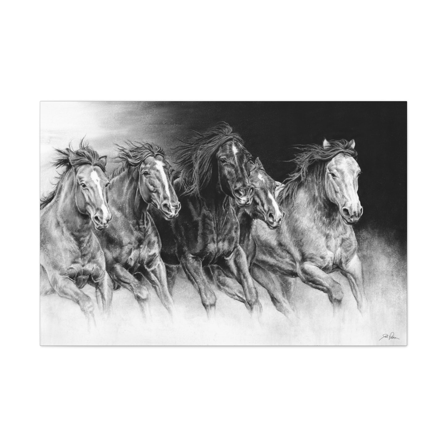 "Wild Bunch" Gallery Wrapped Canvas