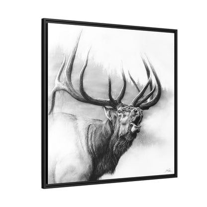 "Rocky Mountain King" Framed Canvas