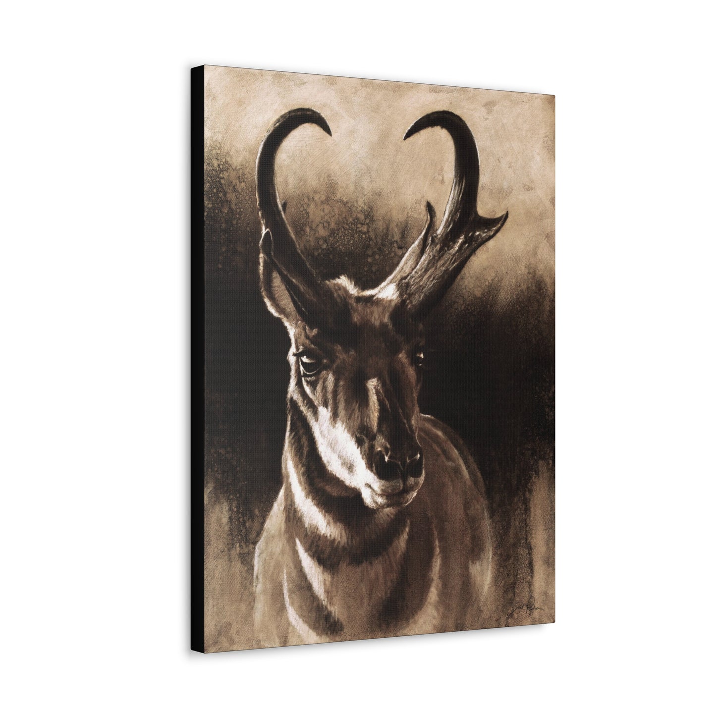 "Pronghorn" Gallery Wrapped Canvas.