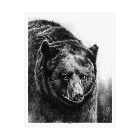 "Black Bear" Premium Matte Paper Print.