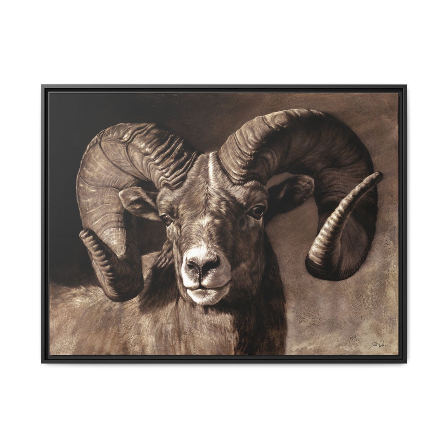 "Full Curl" Framed Canvas