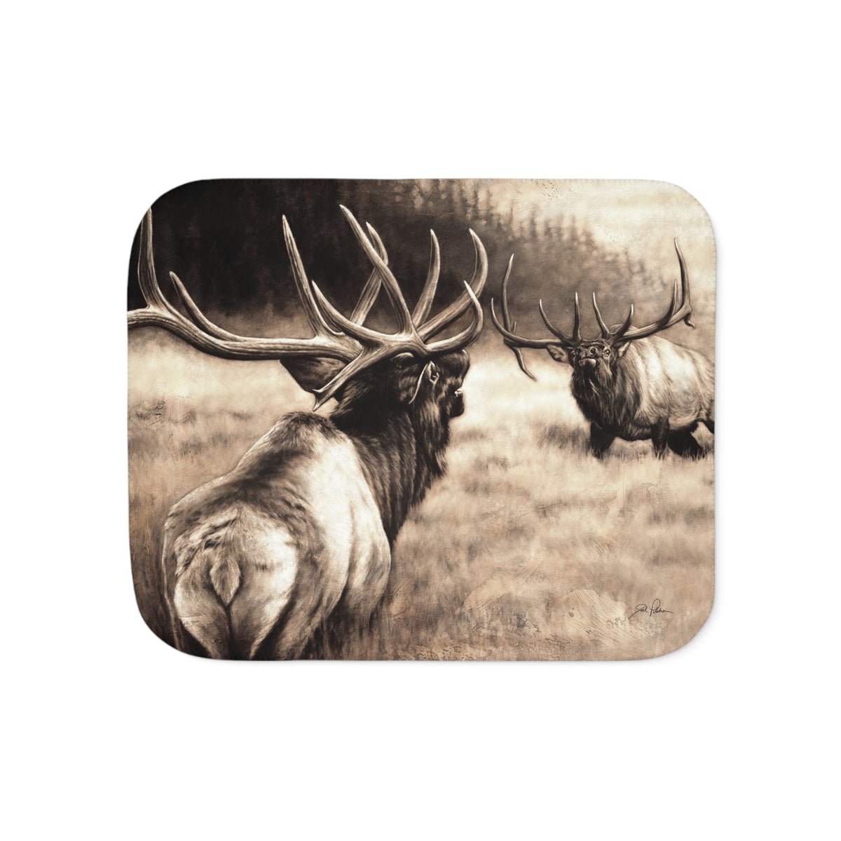 "Ready to Rumble" Sherpa Blanket.