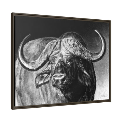 "Cape Buffalo" Framed Canvas