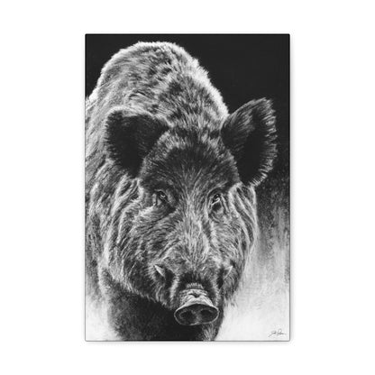 "Wild Boar" Gallery Wrapped Canvas