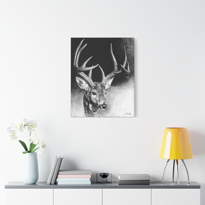 "Whitetail Buck" Stretched Canvas