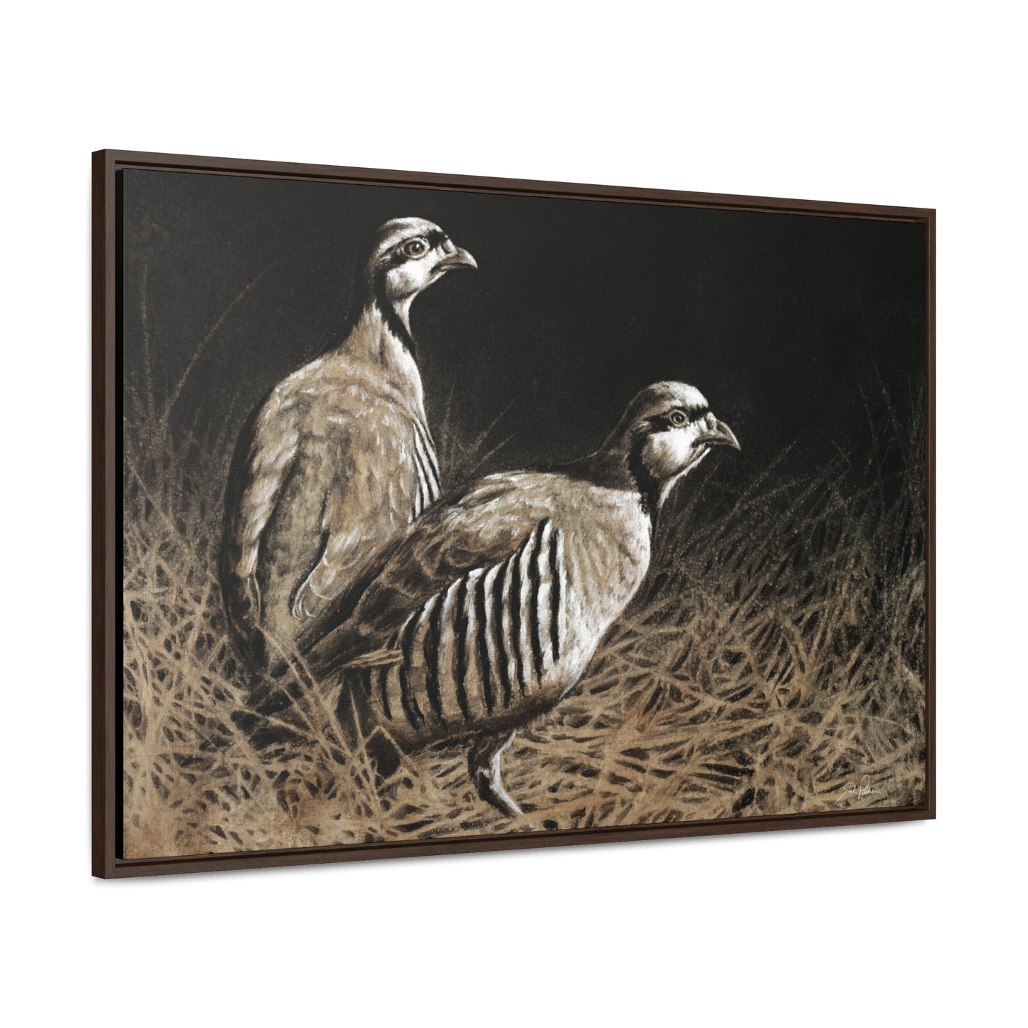 "Chukars" Gallery Wrapped/Framed Canvas