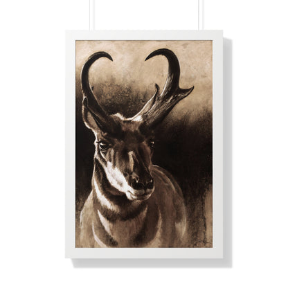 "Pronghorn" Framed Paper Print.