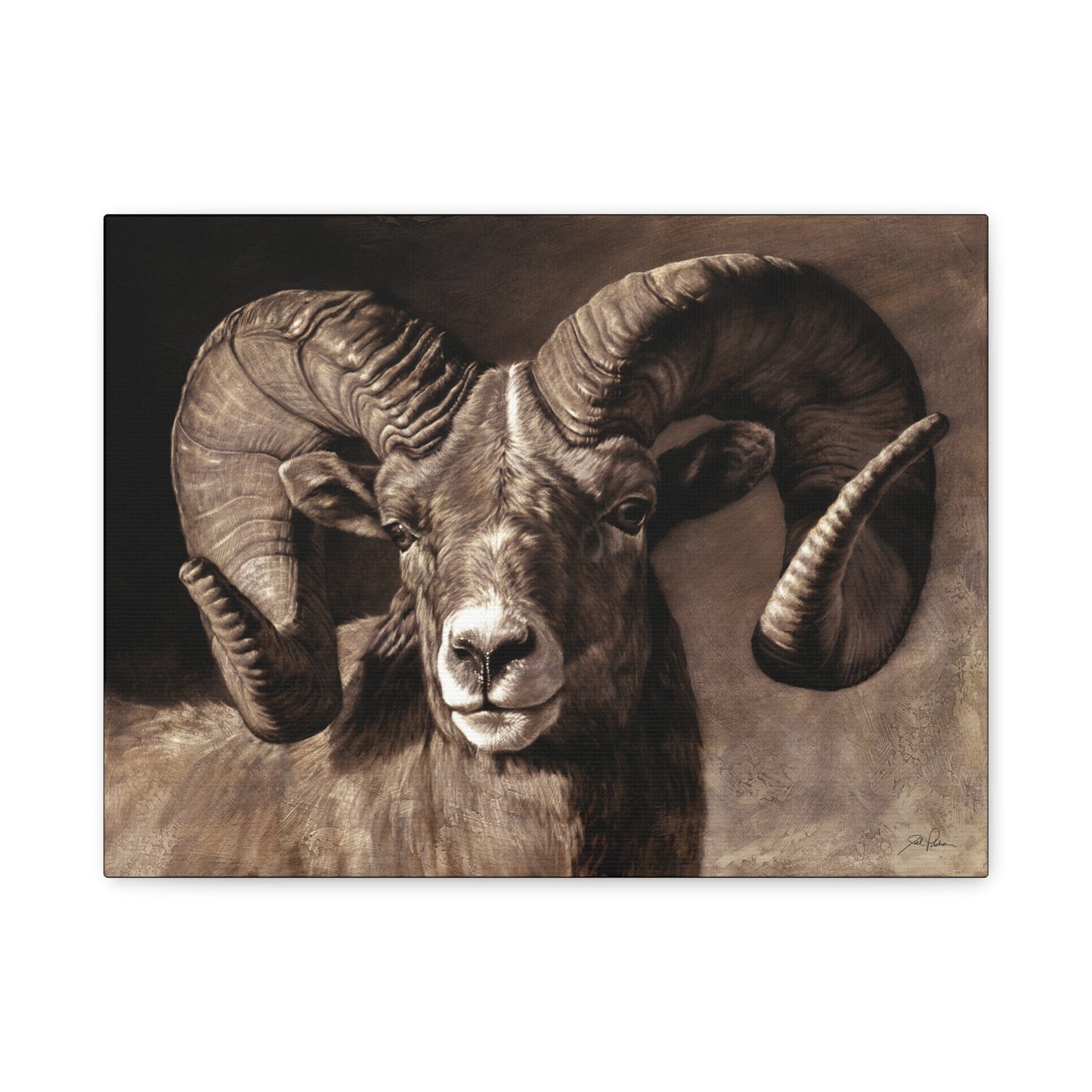 "Full Curl" Stretched Canvas