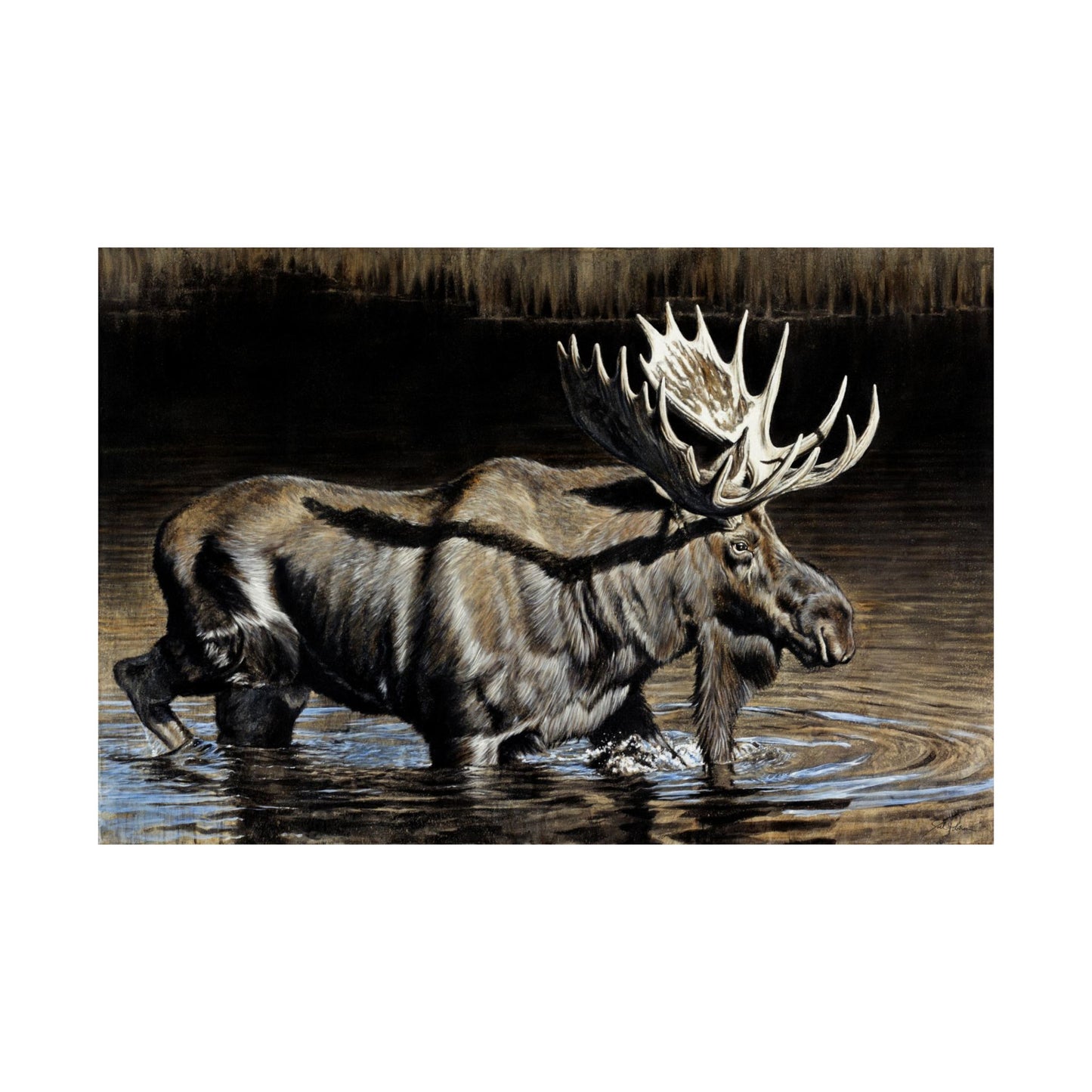 "Big Dipper" Premium Matte Paper Print