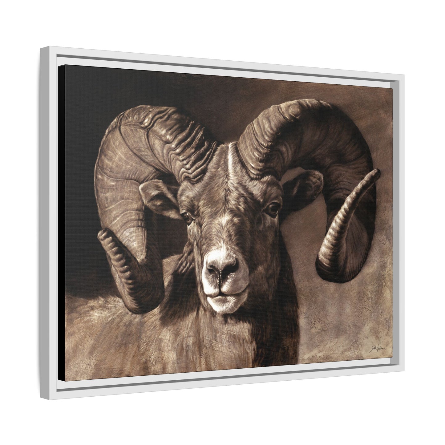 "Full Curl" Framed Canvas