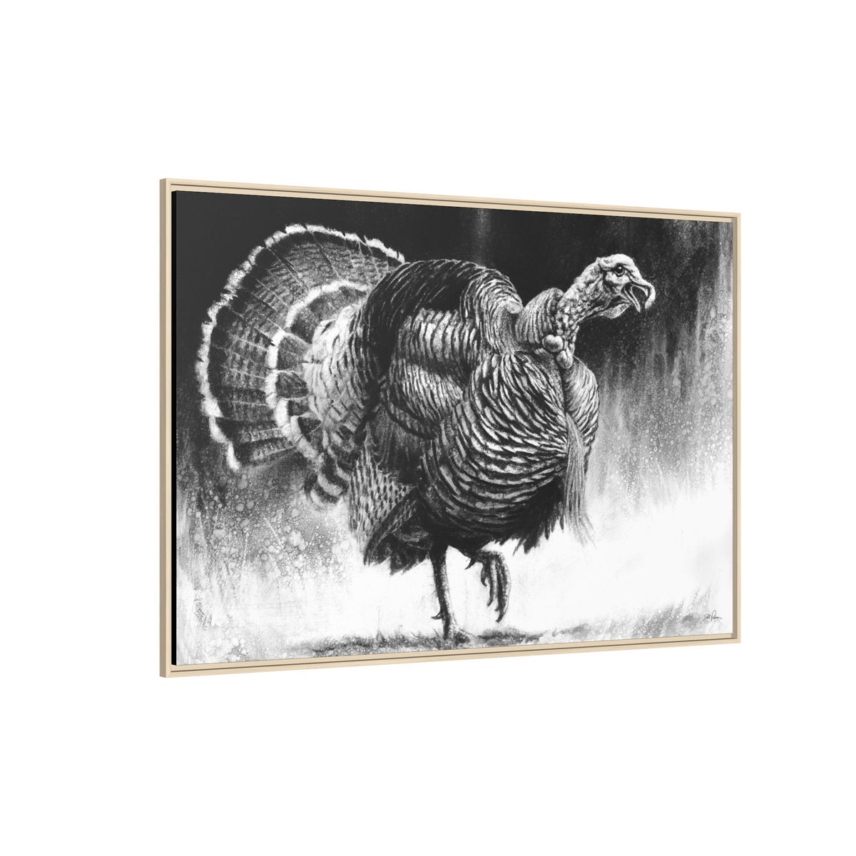 "Gobbler" Framed Canvas