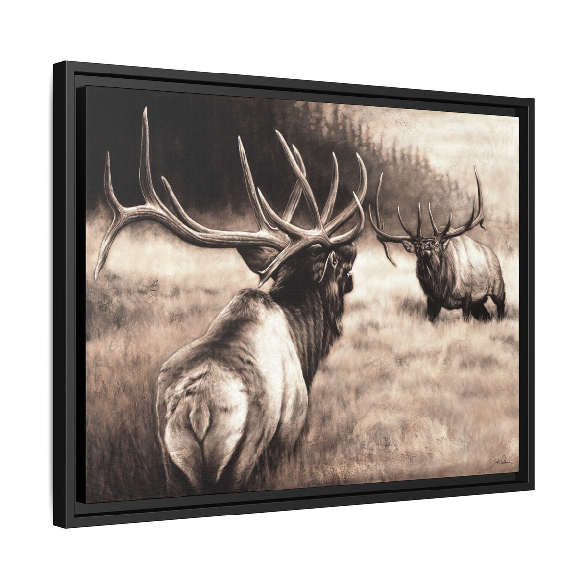 "Ready to Rumble" Framed Canvas