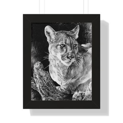 "Mountain Lion" Framed Paper Print