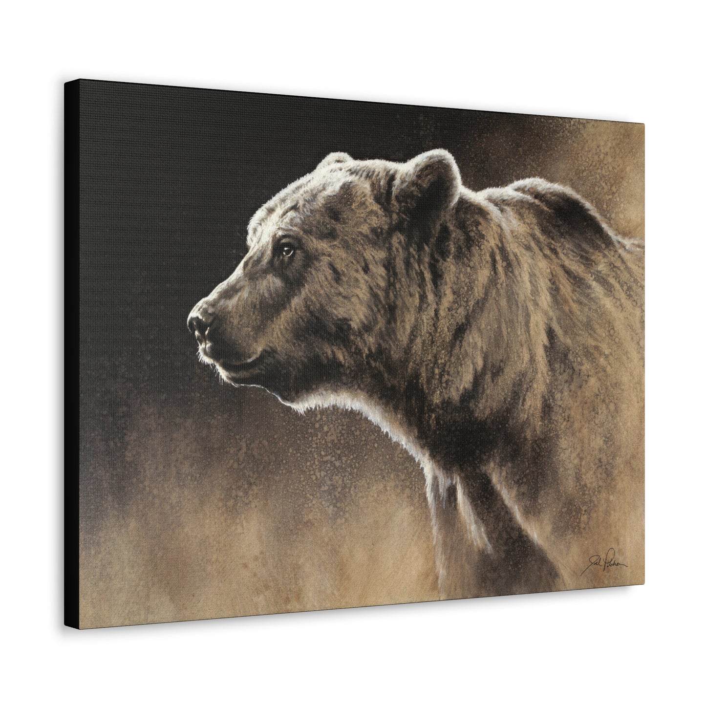 "Grizzly" Gallery Wrapped Canvas