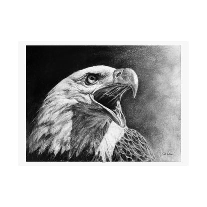 "Bald Eagle" Premium Matte Paper Print