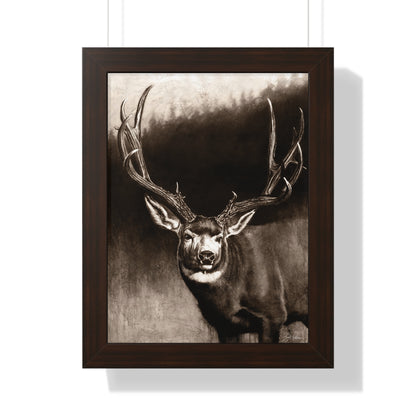 "Muley" Framed Paper Print