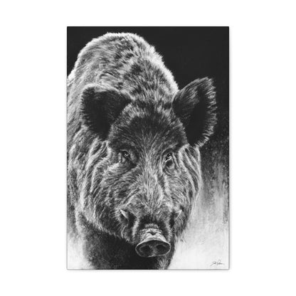 "Wild Boar" Gallery Wrapped Canvas