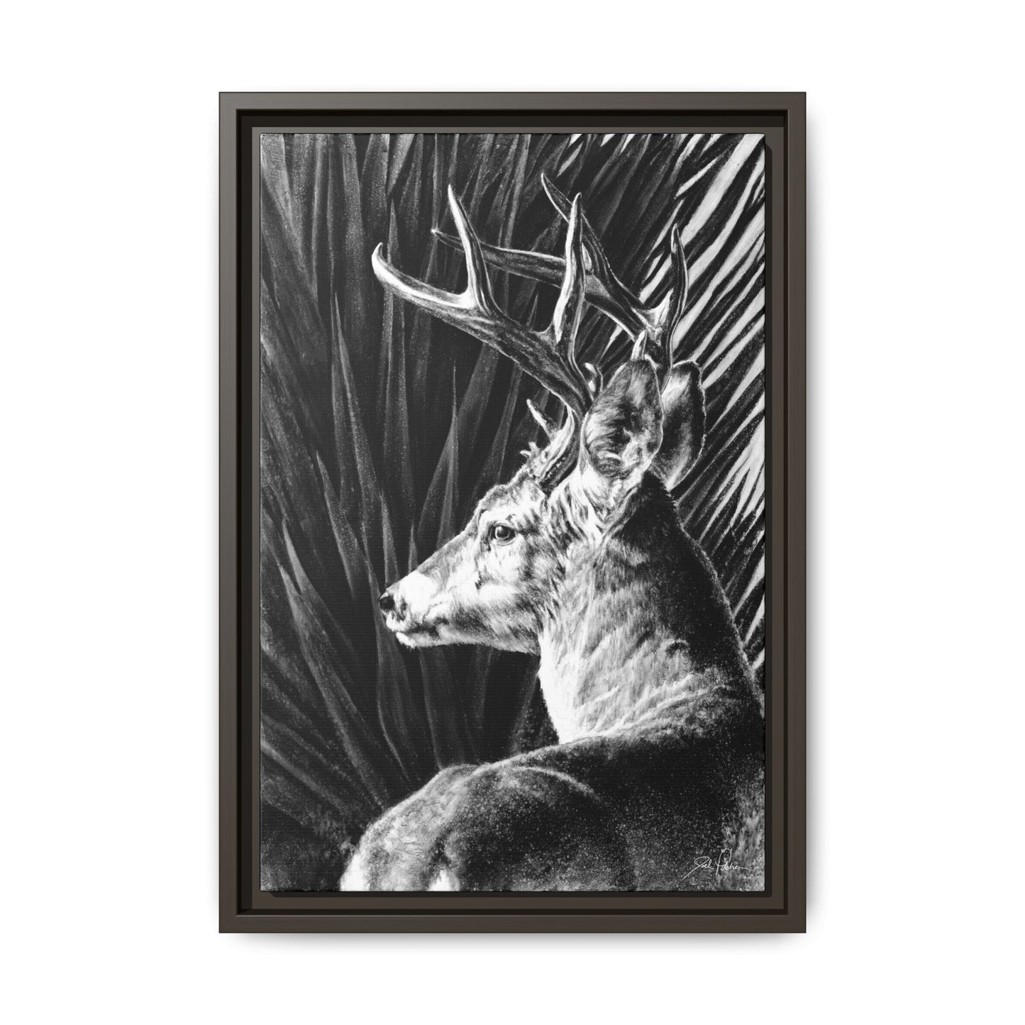 "Coues Buck" Framed Canvas