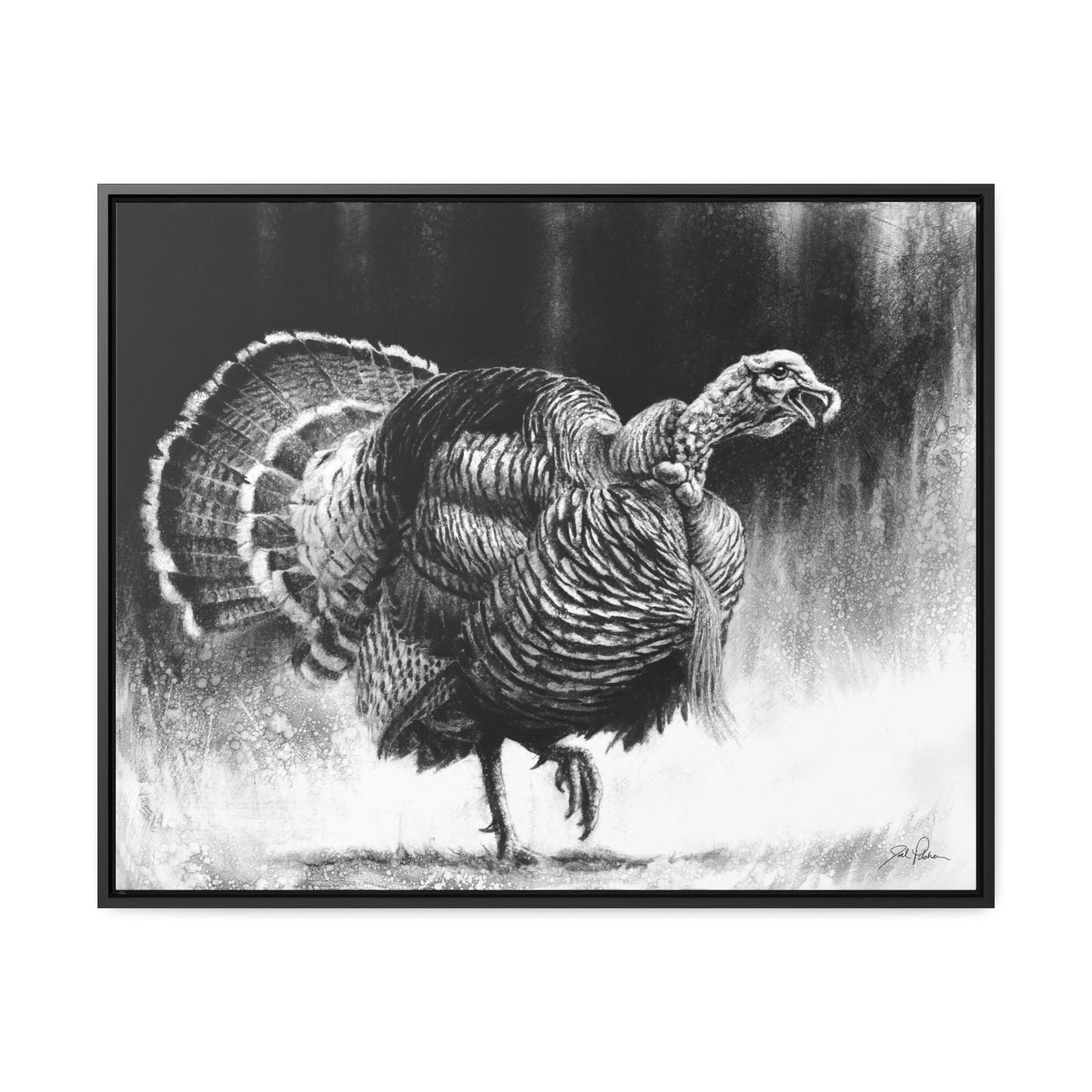 "Gobbler" Gallery Wrapped/Framed Canvas