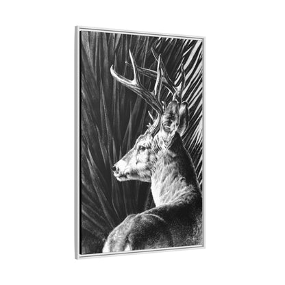 "Coues Buck" Framed Canvas
