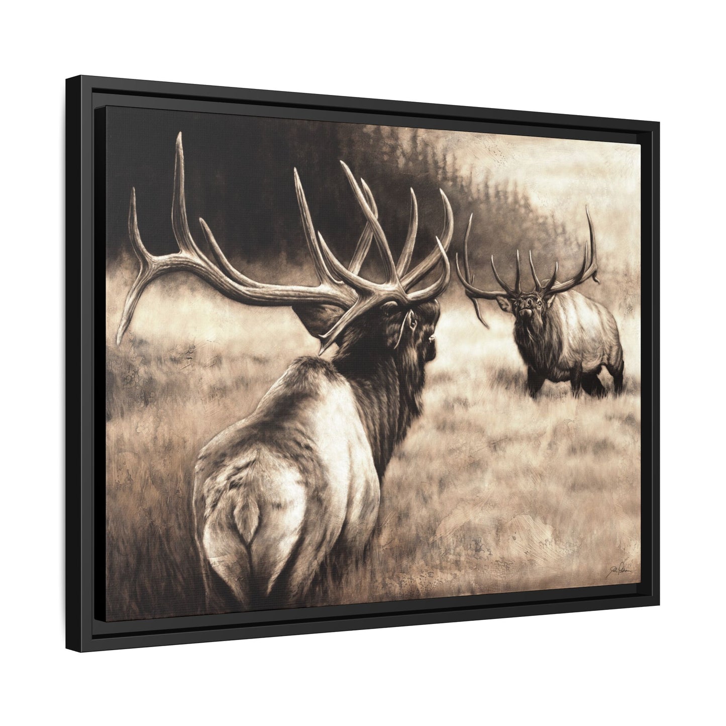 "Ready to Rumble" Framed Canvas