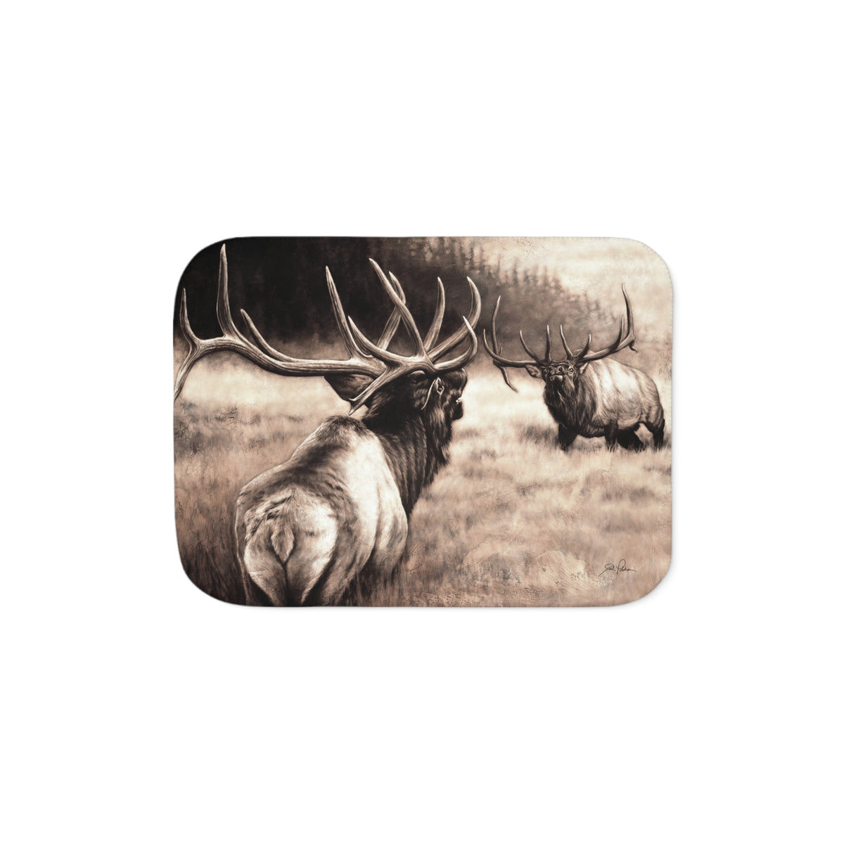 "Ready to Rumble" Sherpa Blanket.