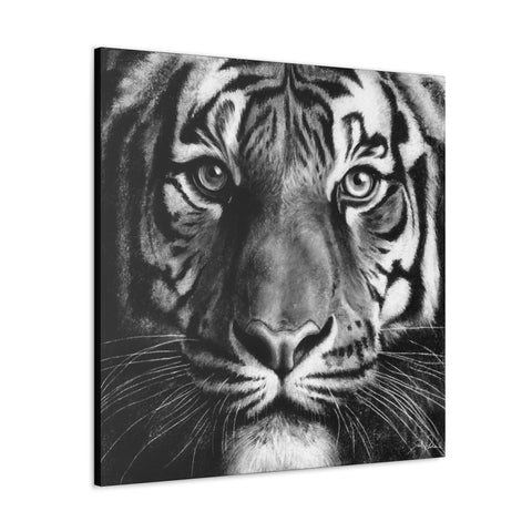 "Tiger" Gallery Wrapped Canvas