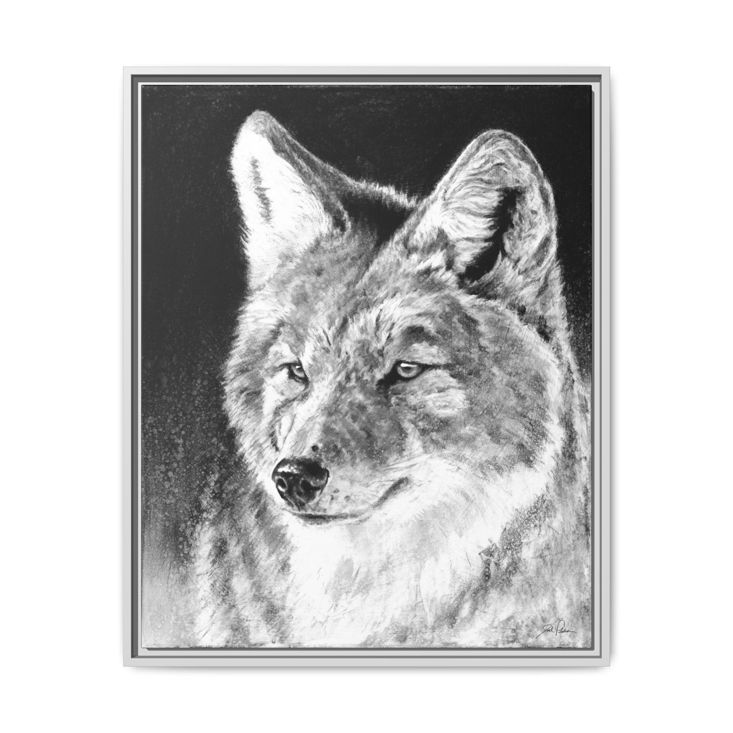 "Coyote II" Framed Canvas