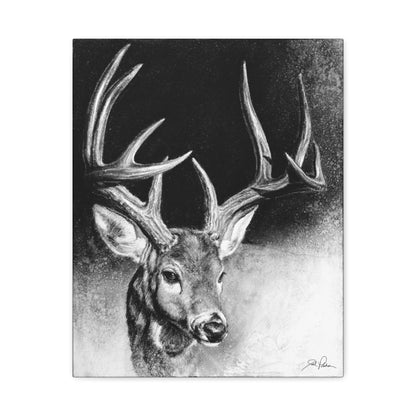 "Whitetail Buck" Stretched Canvas