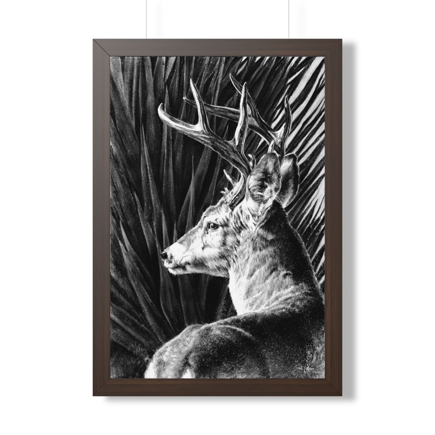 "Coues Buck" Framed Paper Print