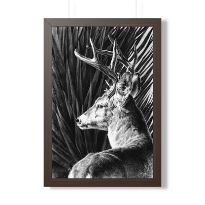 "Coues Buck" Framed Paper Print