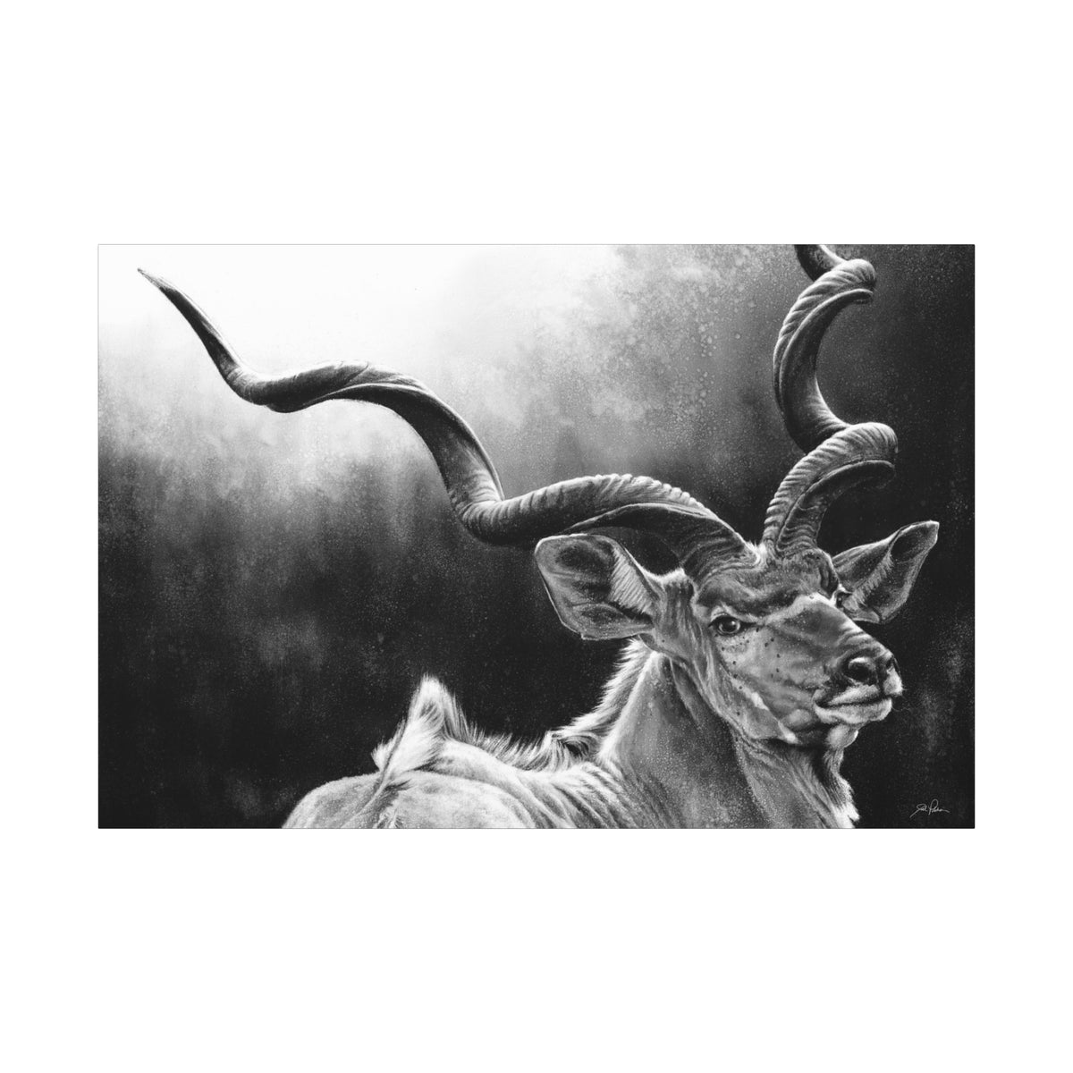 "Kudu" Stretched Canvas