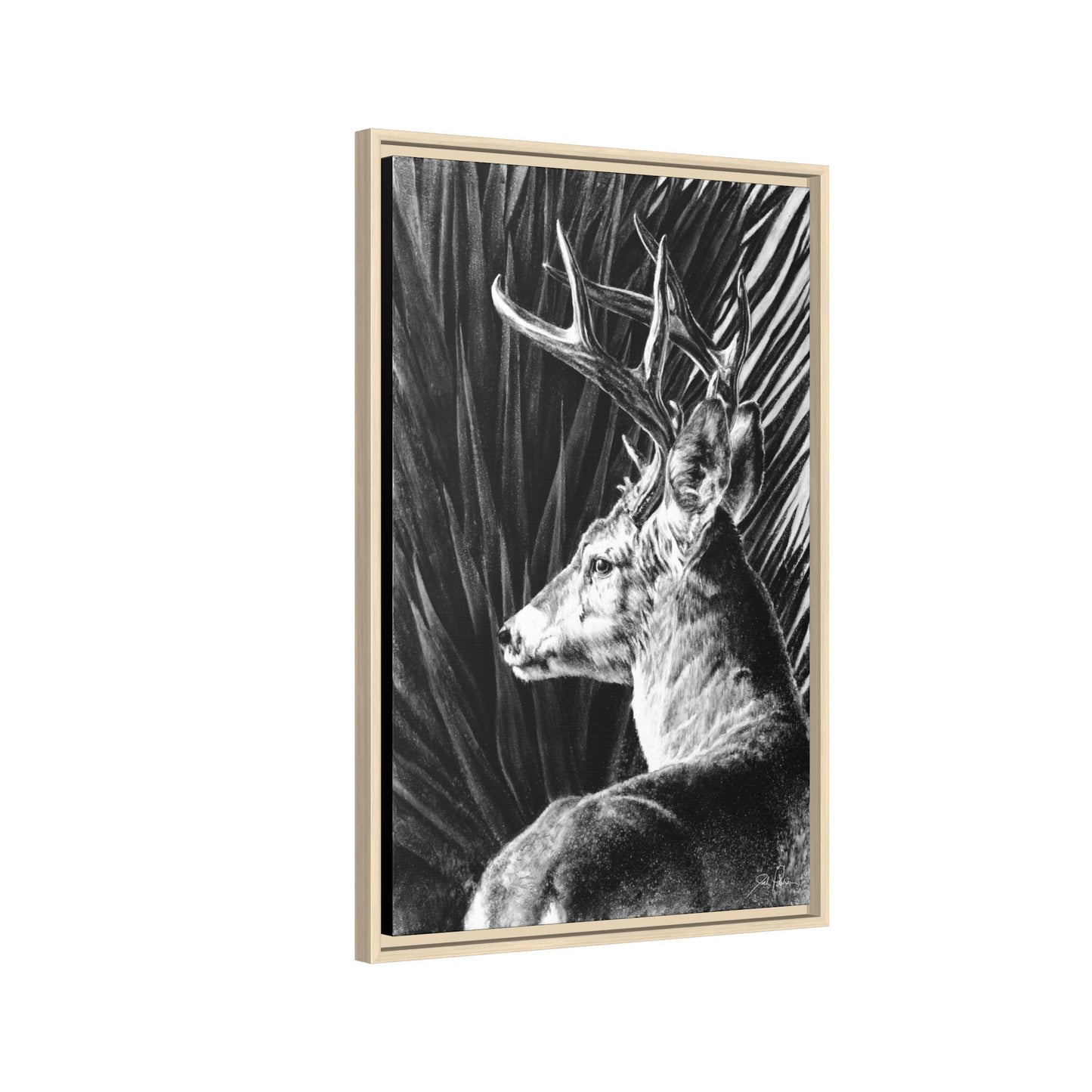 "Coues Buck" Framed Canvas