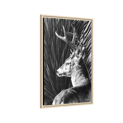 "Coues Buck" Framed Canvas