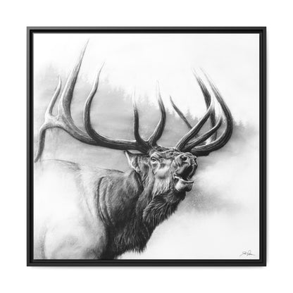 "Rocky Mountain King" Framed Canvas