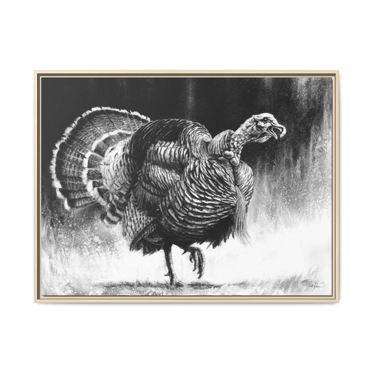 "Gobbler" Framed Canvas