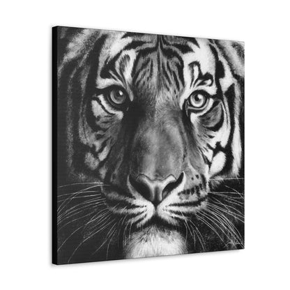 "Tiger" Gallery Wrapped Canvas