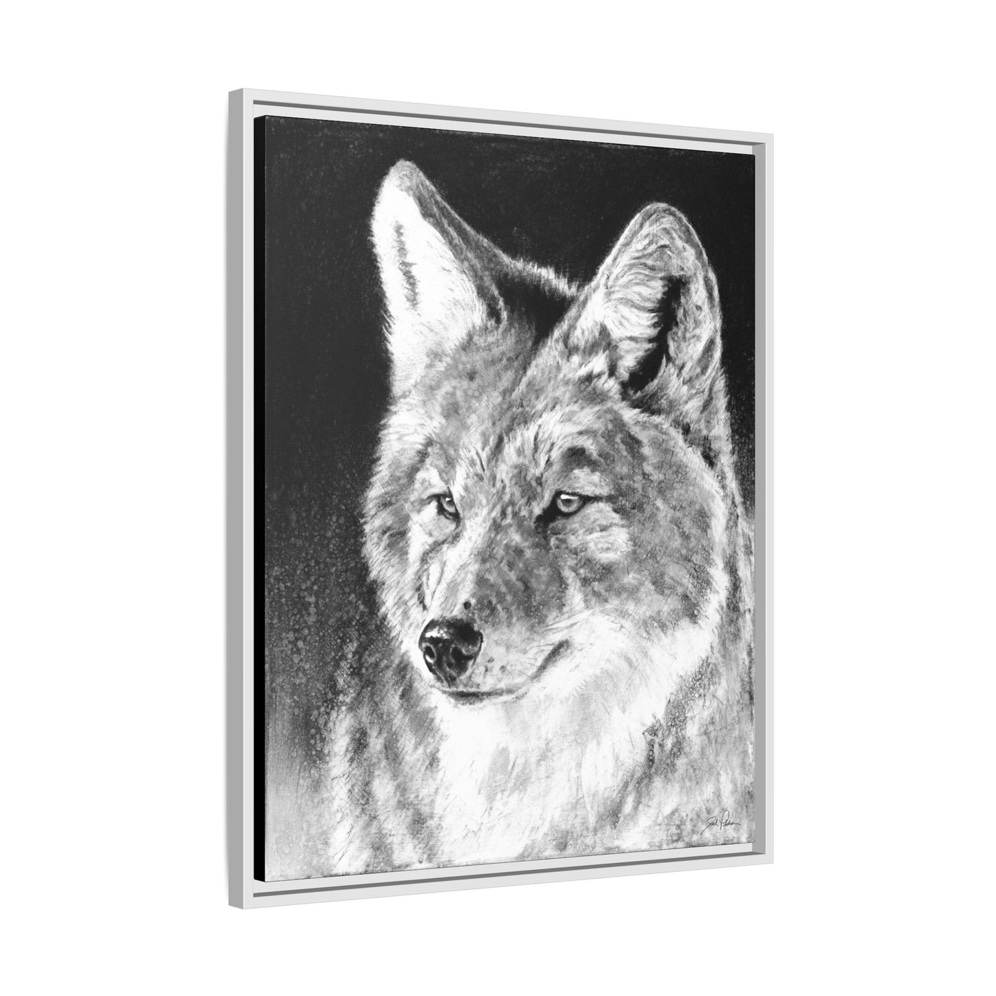 "Coyote II" Framed Canvas
